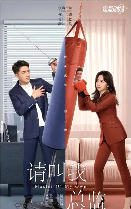 请叫我总监 海报