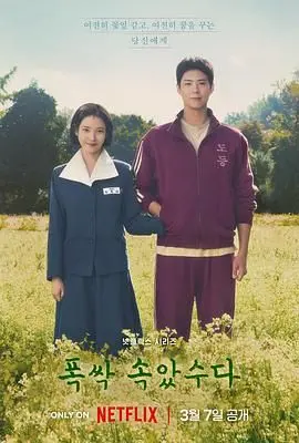 《苦尽柑来遇见你》：不是阴谋论，是生活的酸甜苦辣，看完让人直呼过瘾！