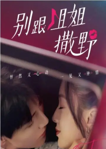 《别跟姐姐撒野》：一场关于 记忆 的追溯，却意外点燃了尘封的爱火！